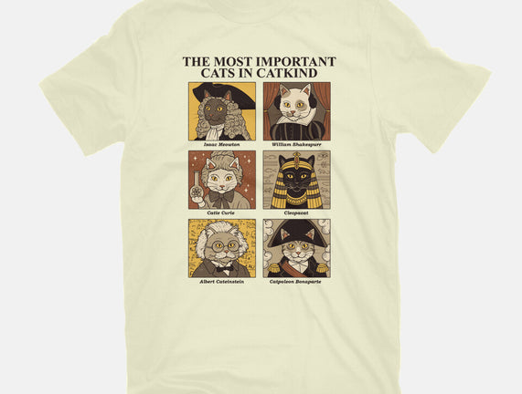 Cats In Catkind