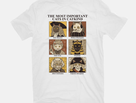 Cats In Catkind
