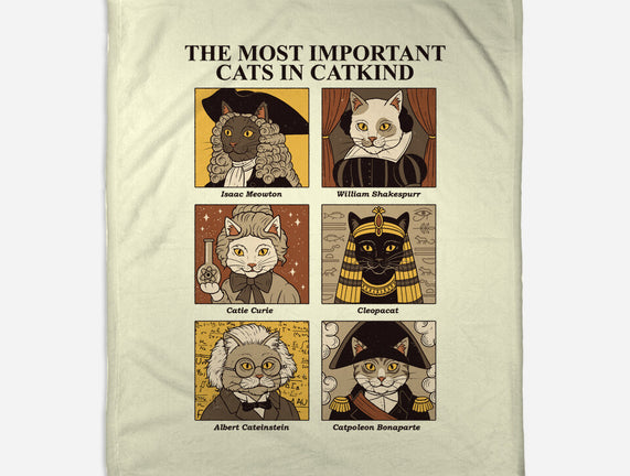 Cats In Catkind