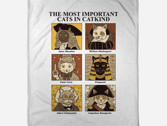 Cats In Catkind