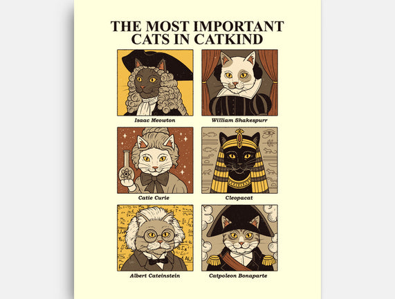 Cats In Catkind
