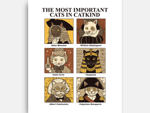 Cats In Catkind