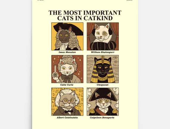 Cats In Catkind