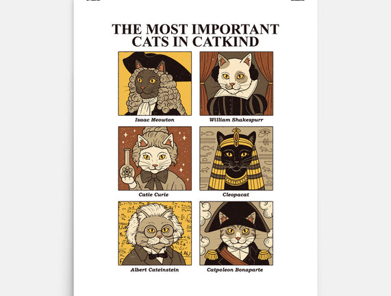 Cats In Catkind