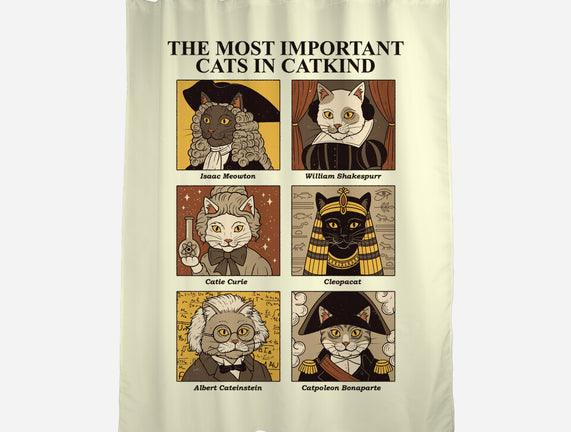 Cats In Catkind