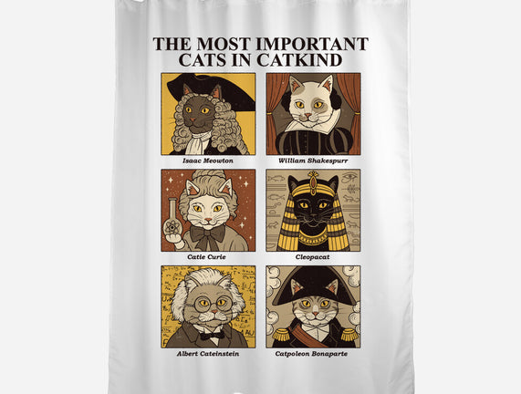 Cats In Catkind