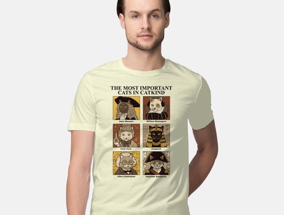 Cats In Catkind
