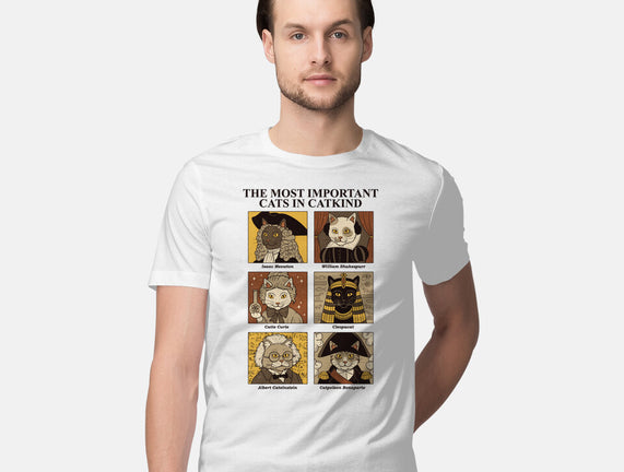Cats In Catkind