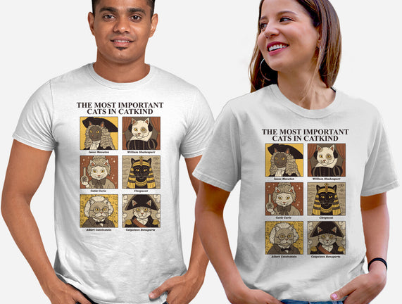 Cats In Catkind