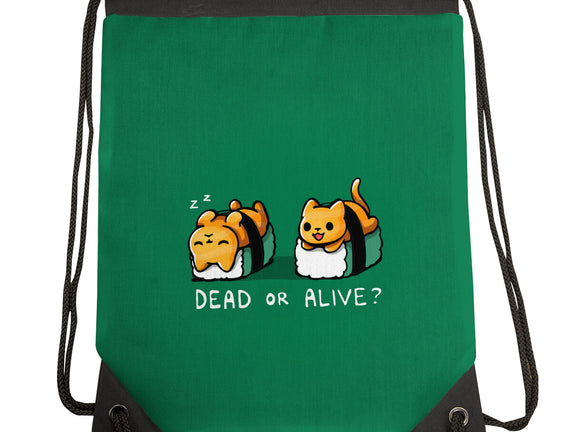 Sushicat Dead Or Alive