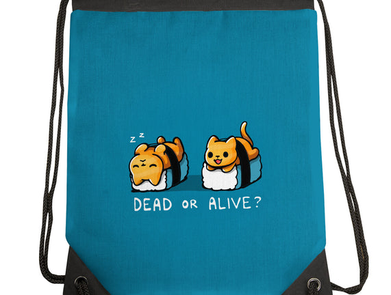 Sushicat Dead Or Alive