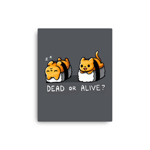 Sushicat Dead Or Alive