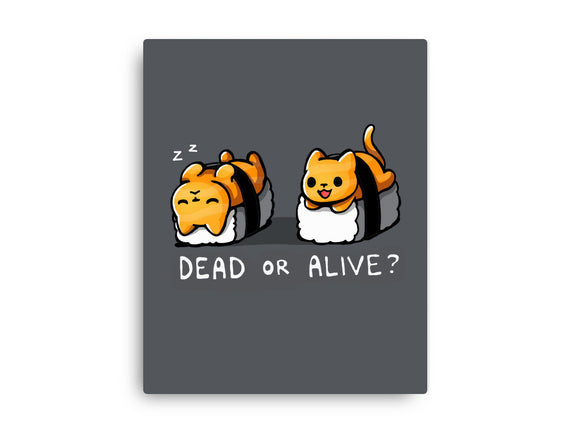 Sushicat Dead Or Alive