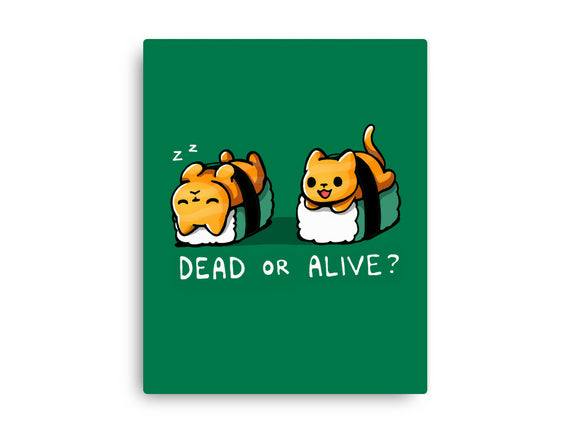 Sushicat Dead Or Alive
