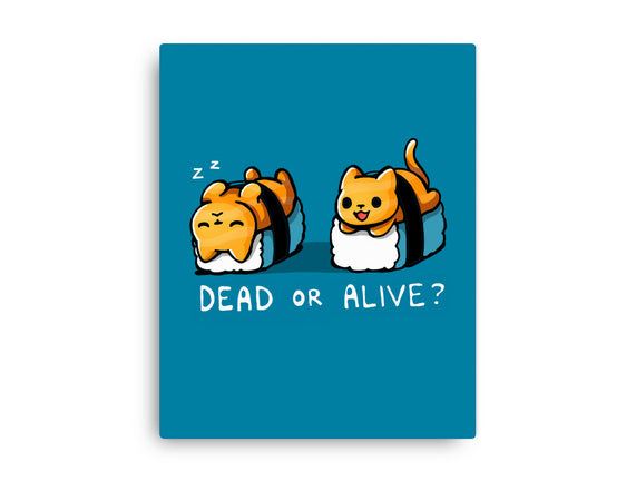 Sushicat Dead Or Alive