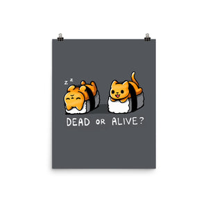 Sushicat Dead Or Alive