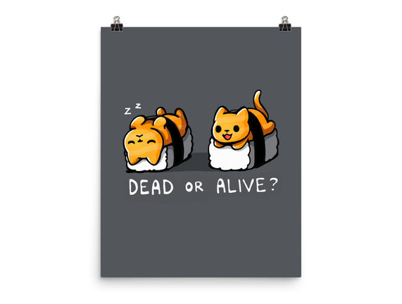 Sushicat Dead Or Alive