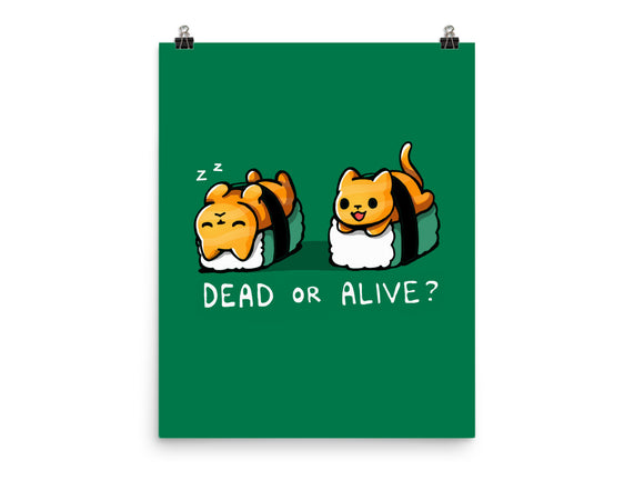Sushicat Dead Or Alive