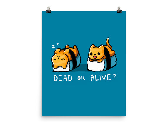 Sushicat Dead Or Alive