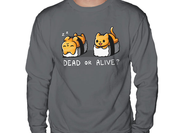 Sushicat Dead Or Alive