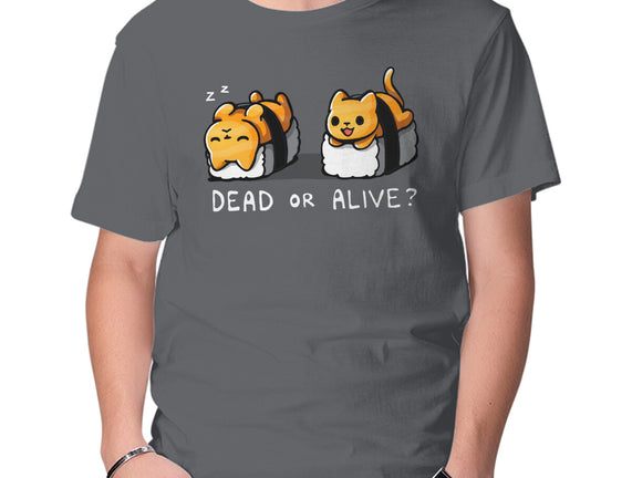 Sushicat Dead Or Alive