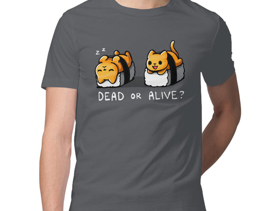 Sushicat Dead Or Alive