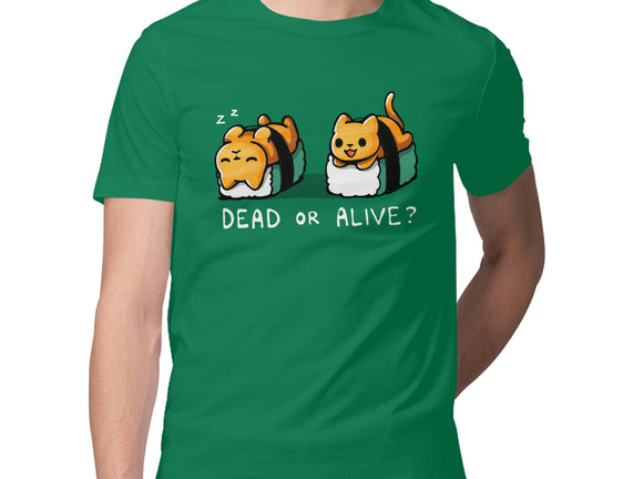 Sushicat Dead Or Alive