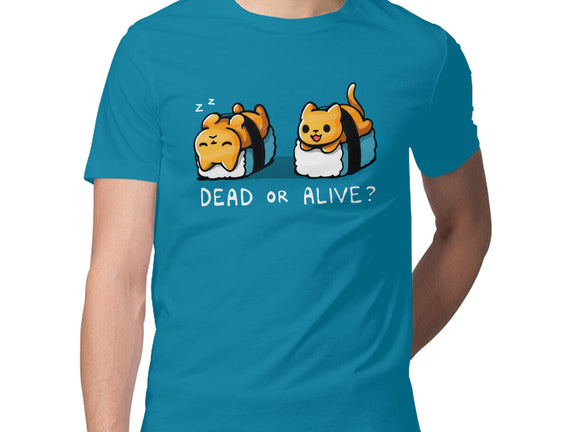 Sushicat Dead Or Alive