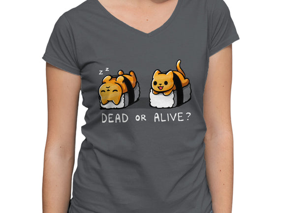 Sushicat Dead Or Alive