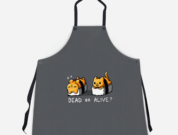 Sushicat Dead Or Alive