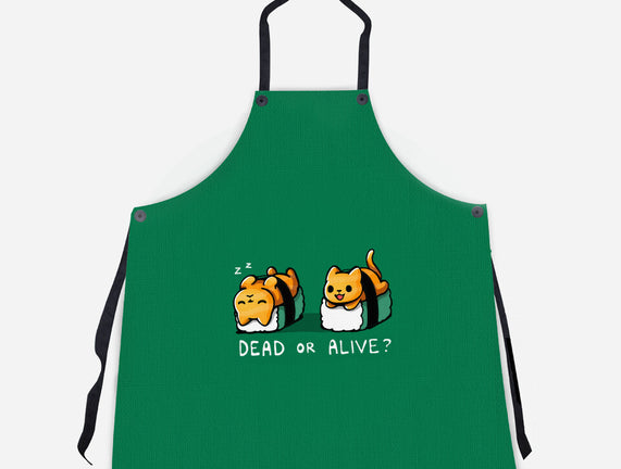 Sushicat Dead Or Alive
