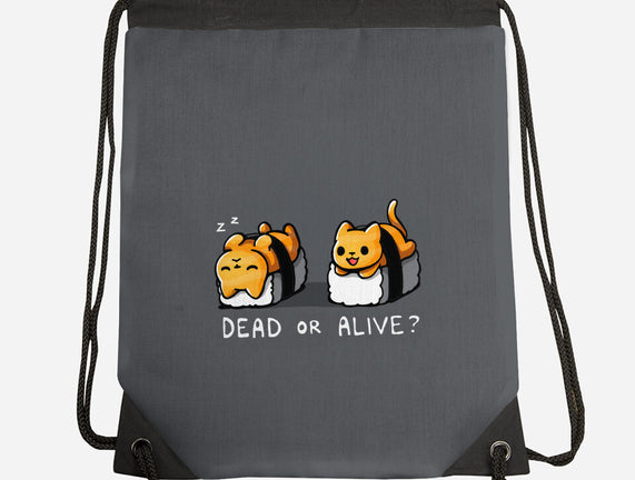 Sushicat Dead Or Alive