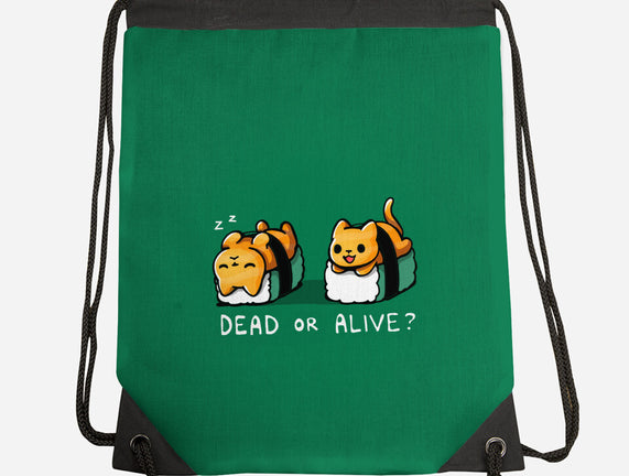 Sushicat Dead Or Alive