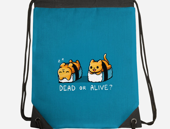 Sushicat Dead Or Alive