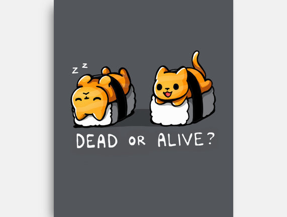 Sushicat Dead Or Alive