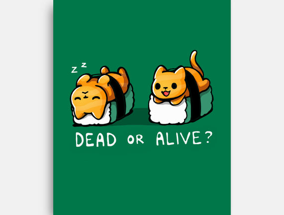 Sushicat Dead Or Alive