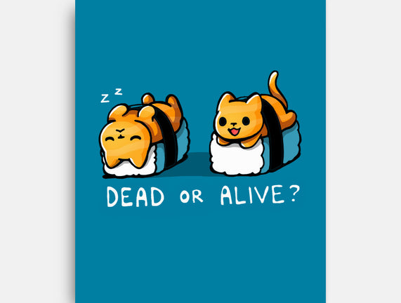 Sushicat Dead Or Alive