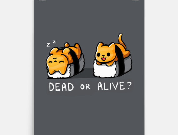 Sushicat Dead Or Alive