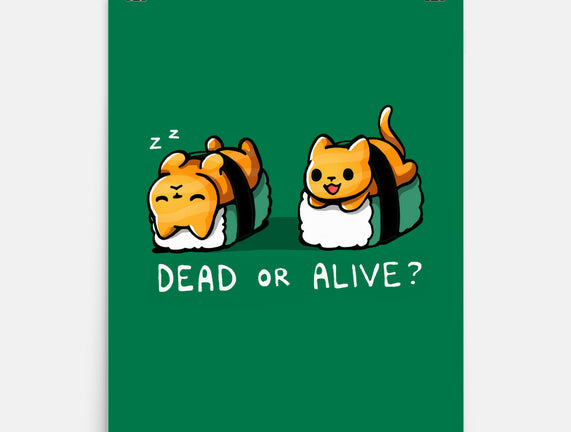 Sushicat Dead Or Alive