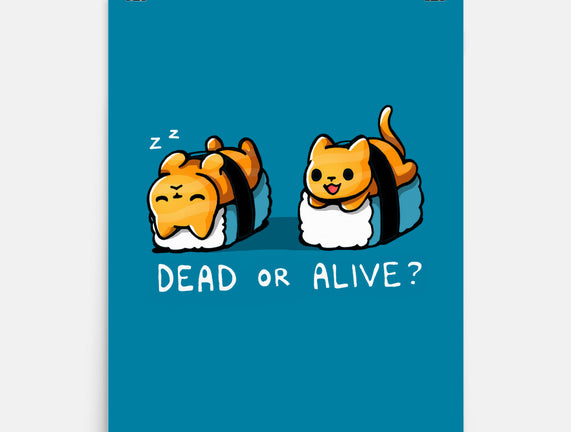 Sushicat Dead Or Alive