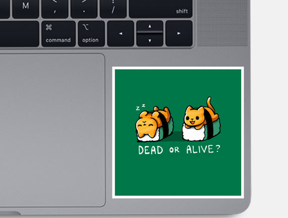 Sushicat Dead Or Alive