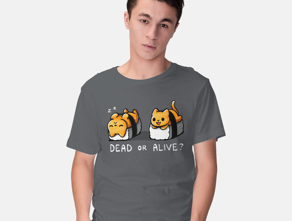 Sushicat Dead Or Alive