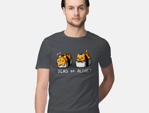 Sushicat Dead Or Alive