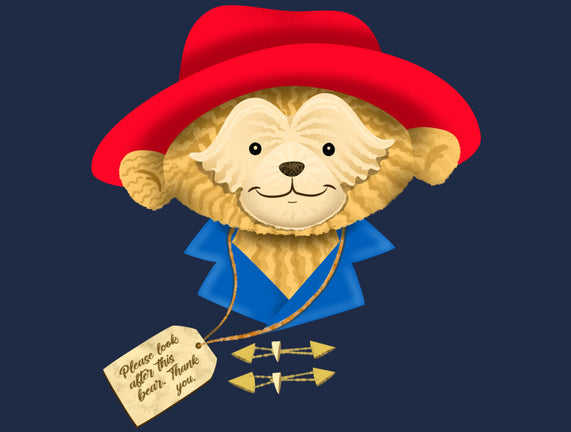 Please Look After This Bear