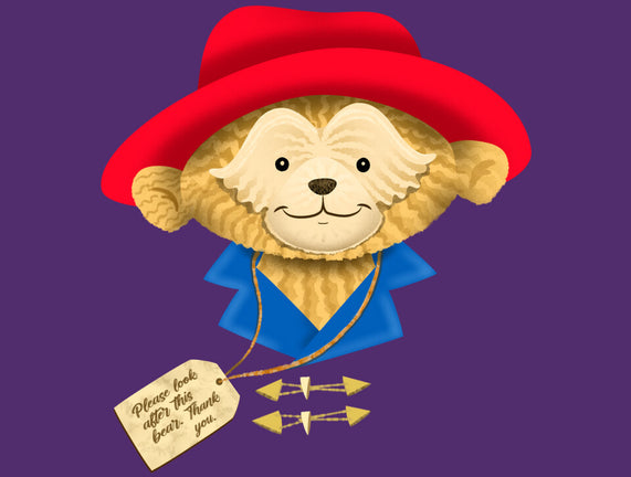 Please Look After This Bear