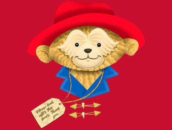 Please Look After This Bear