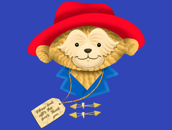 Please Look After This Bear