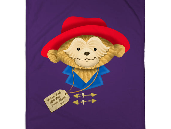 Please Look After This Bear