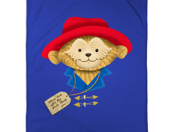 Please Look After This Bear
