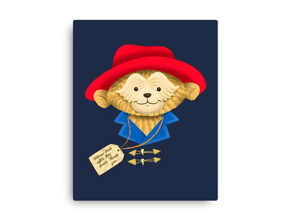 Please Look After This Bear